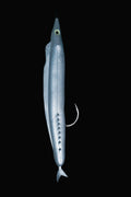 Silver Bluey Stinger